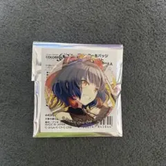 乃木坂46 白石麻衣 缶バッジ 2個セット - メルカリ