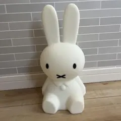 Item thumbnail for item f5832169-0795-471e-ae4c-7d8602a6b090