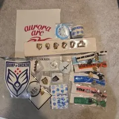 2026年最新】bump of chicken ピンバッチの人気アイテム - メルカリ