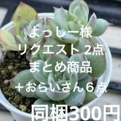 よっしー様 リクエスト 2点 まとめ商品＋おらいさん8点