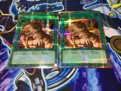 遊戯王　突然変異　メタモルフォーゼ　プリズマ　プリシク