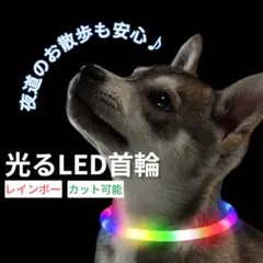 Item thumbnail for item 11e87d60-f7db-4963-b352-2b0ff654d47b