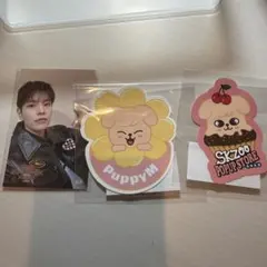 スキズ　くじ　ステッカー たまごっち　トレカ　セット　スンミン　puppyM