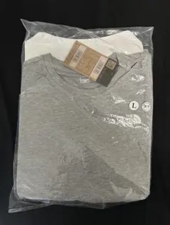 THE NORTH FACEのワンポイントTシャツ