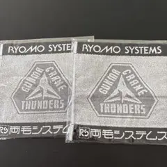 [新品未開封] 群馬クレインサンダーズ ハンドタオル 2枚 両毛システムズ