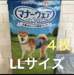 Item thumbnail for item 5313a471-8acf-418f-b0c0-f129625a2182