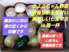 かよこちゃん野菜　安心して食べれる訳有り新玉ねぎ甘くて美味しい七宝早生5k箱一杯のサムネイル