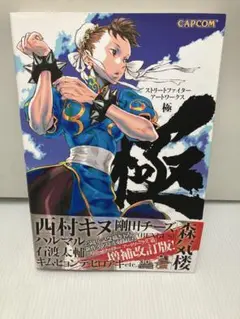 ストリートファイターアートワークス極 ストリートファイターアートワークス極 (カプコンオフィシャル