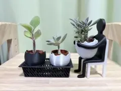 たまご型 植木鉢 3個セット 専用鉢受け 3Dプリント