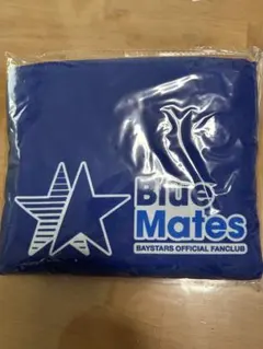 Blue Mates バックパック　レインコート