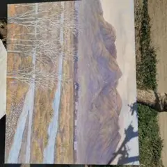 上島一司【春雪】希少画集画、状態良好、新品高級額装付 - メルカリ