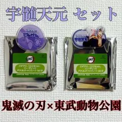 【最終値下】鬼滅の刃　竈門炭治郎　東武動物公園　特典缶バッジ45点 最終値下】鬼滅の刃 竈門炭治郎 東武動物公園 特典缶バッジ