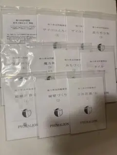 ピグマリオン 能力育成問題集 思考力強化セット