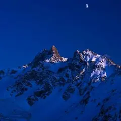 ともちょり様専用