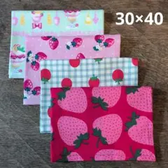 neneko84様 リクエスト 2点 まとめ商品