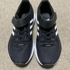 Item thumbnail for item 084ff922-8563-4265-bff7-70ef84a0a75f