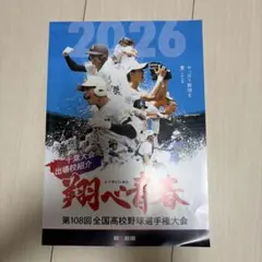 翔べ青春　第108回全国高校野球選手権大会 千葉大会 出場校紹介のサムネイル