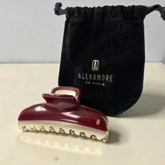 ミチコ♡さま専用 アレクサンドルドゥパリ スワロフスキーMクリップ