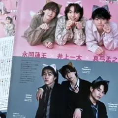 月刊TVガイド 永岡蓮王 井上一太 真弓孟之 切り抜き