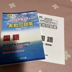 2023 大学入学共通テスト 実戦問題集 国語