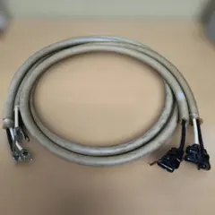 オーディオみじんこ POINT5 PHONO2 5pinDIN - メルカリ