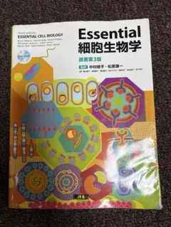 Item thumbnail for item 6b0485b3-26e6-4fb2-915b-7f28500e3d47