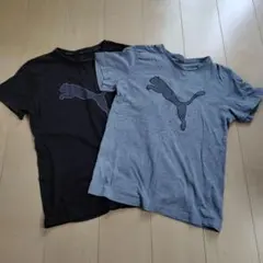 プーマ Tシャツ 2枚セット（黒・グレー）