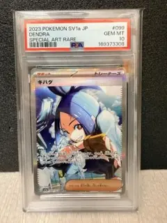 2026年最新】キハダ sar psa10の人気アイテム - メルカリ