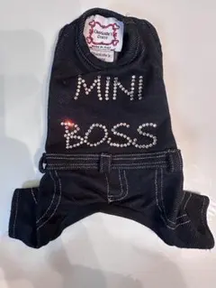 Item thumbnail for item 7e9df7cf-7c37-4870-89cd-521d3065bbab