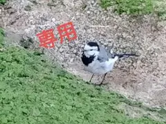 専用…かずちゃん
