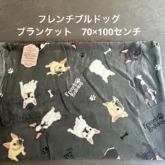 《新品》フレンチブルドッグ柄　スムースタッチブランケット 70x100cm