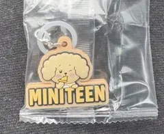 SEVENTEEN ミニティーン ガチャ miniteen DK