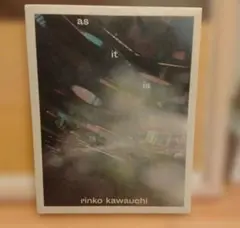 as it is 川内倫子　写真集