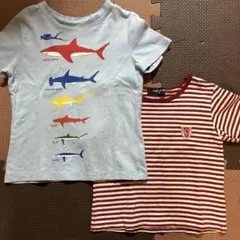 GAP コムサ Tシャツ 2枚セット 90cm 95cmのサムネイル