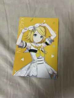 プロセカ アニメイト特典 鏡音リン モモジャン