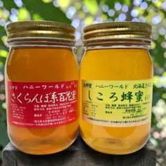 純粋はちみつ 国産天然 八角ビン 2000g 純粋はちみつ 国産天然 八角ビン 2000g - メルカリ