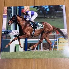 美浦トレーニングセンター　ダイワメジャー　写真パネル