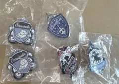 ディズニー　ツイステッドワンダーランド　寮章ピンバッチ