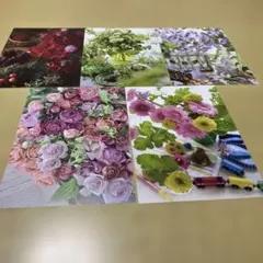 Item thumbnail for item f683827e-80a7-4468-a2e6-d33fcda4e182