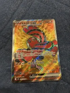 2025年最新】オドリドリの人気アイテム - メルカリ