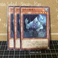 遊戯王　沼地の魔道王　ノーマル　3枚