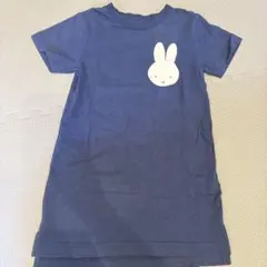 Item thumbnail for item a3376ed8-e406-4f39-9509-8c0ab1c5e894