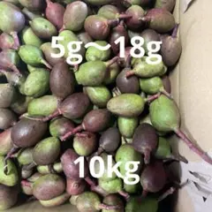 2026年最新】摘果マンゴーの人気アイテム - メルカリ