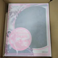 【新品未開封】アルティメットまどか ～叛逆の物語～ 1/8スケールフィギュア