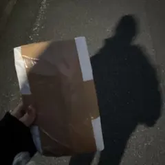 はなちゃん様専用