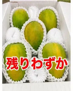 訳あり沖縄県産 マンゴー 5kg(12〜16玉) - メルカリ