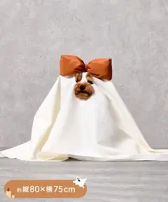 ハロウィン 犬用品