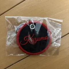 最終値下げ❗️川村壱馬刺繍ネームキーホルダー　PRIMAL SPIDER プラスパ