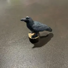 カラス　ミニチュアプラネット　miniature planetのサムネイル