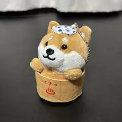 Item thumbnail for item 9654d064-dc29-4c8b-9e18-2beda8996221